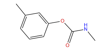 m-Tolyl methylcarbamate